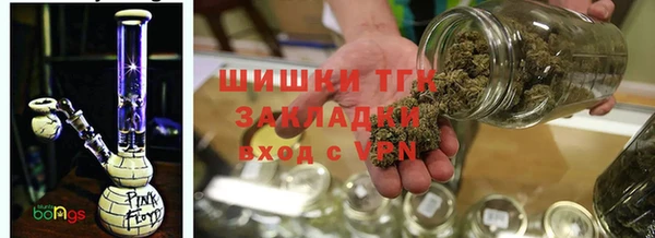 СК Вязьма