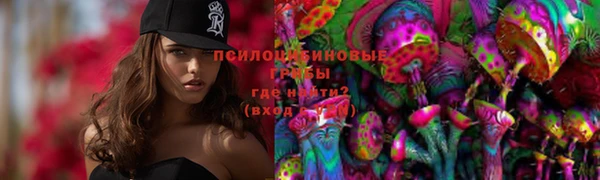 СК Вязьма