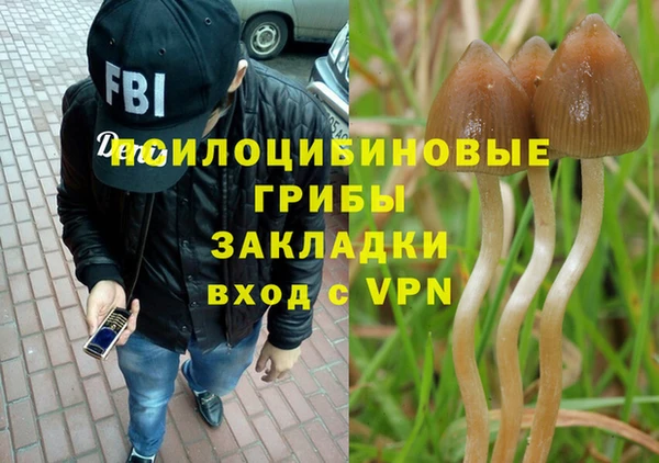 СК Вязьма