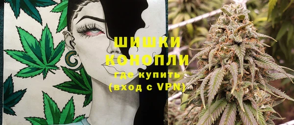 СК Вязьма