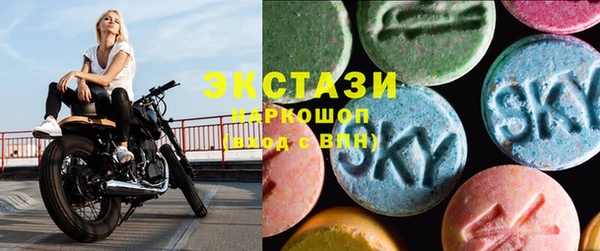 СК Вязьма