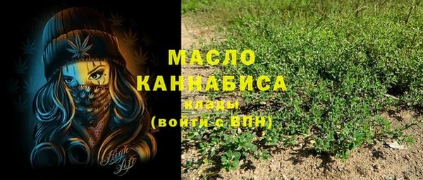 СК Вязьма