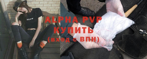 СК Вязьма