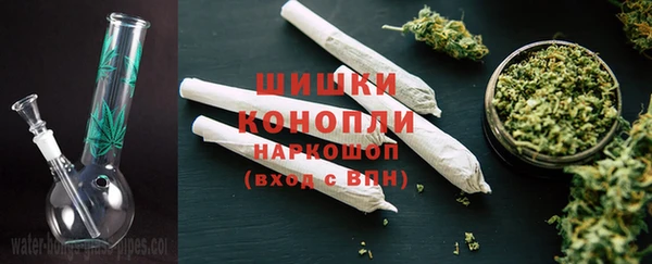 СК Вязьма